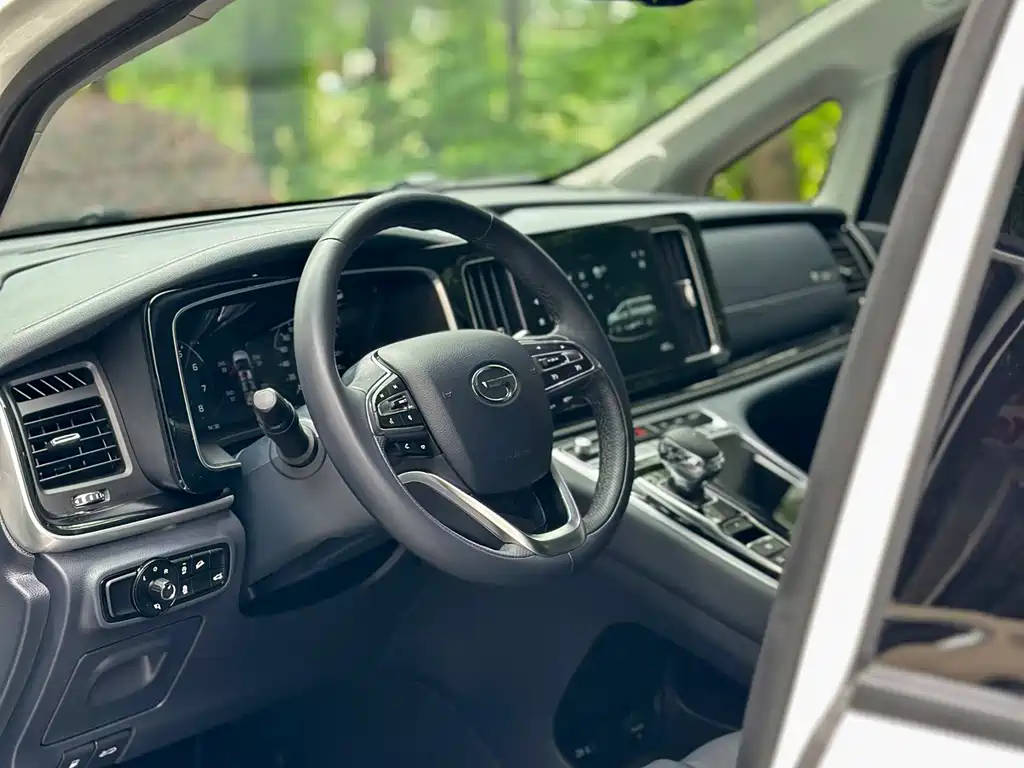 GAC Motor Trumpchi M8 2022 — фото 27