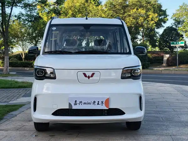 Wuling Zhiguang New Energy 2026