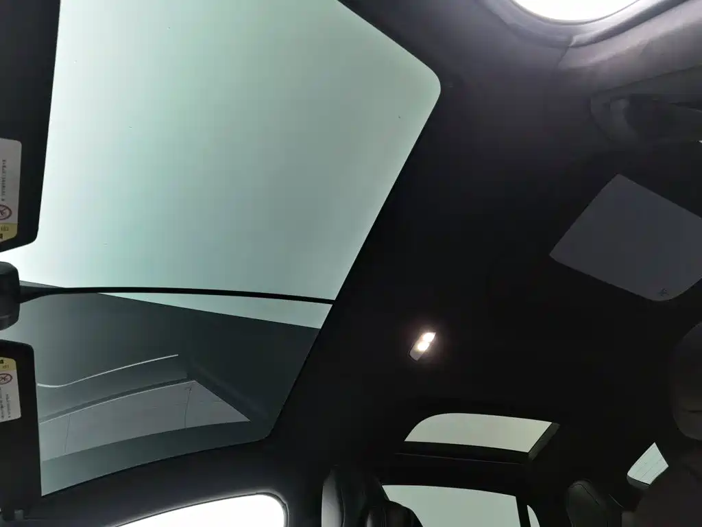 Tesla Model X 2016 — фото 14