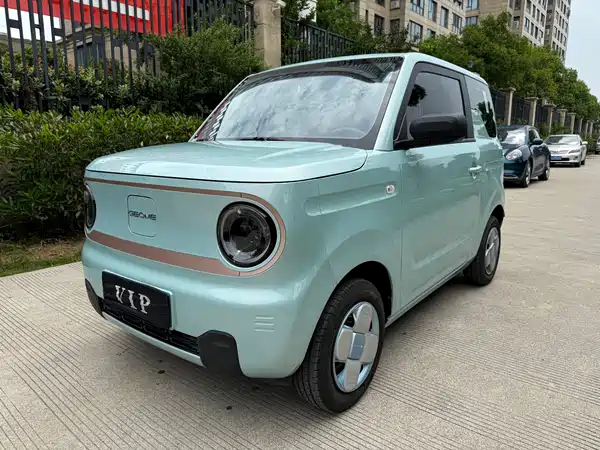 Geely Galaxy Panda 2024