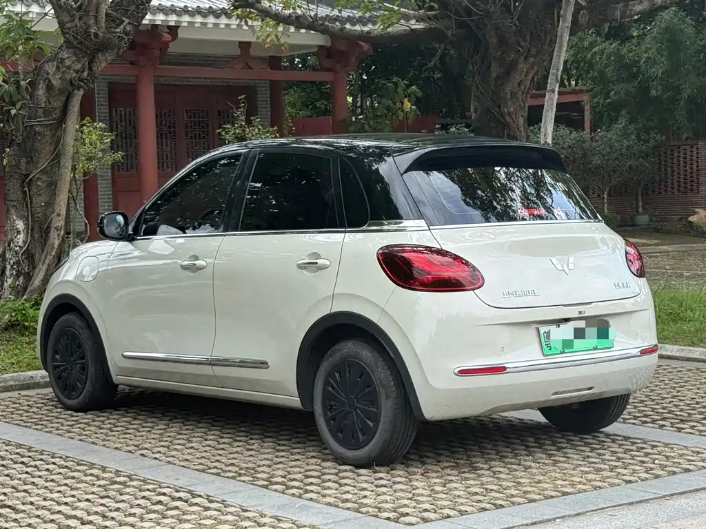 Wuling Bingo 2024