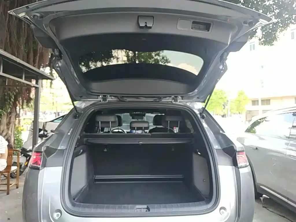 BYD L DM-i 2025 — фото 19