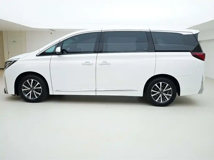 GAC Motor Trumpchi M8 2021 — фото 3