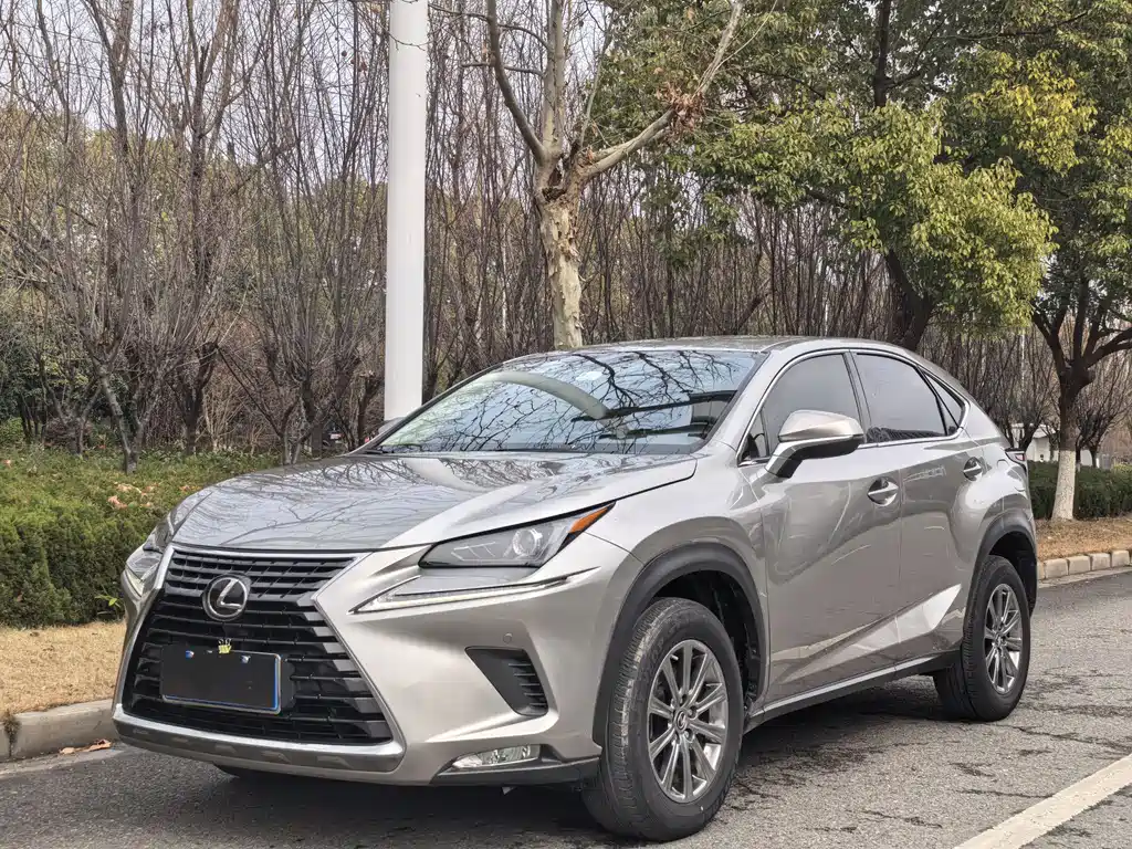 Lexus NX 2020