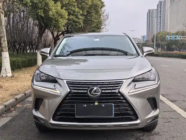 Lexus NX 2020