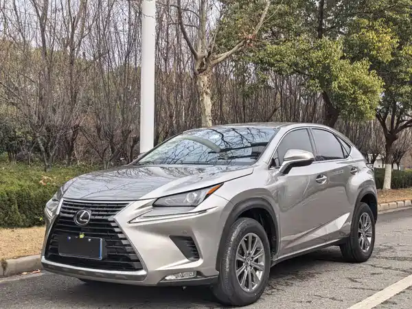 Lexus NX 2020