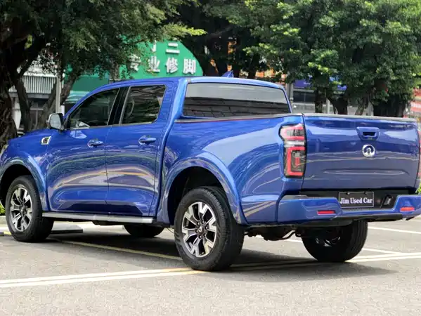 Great Wall Poer 2019