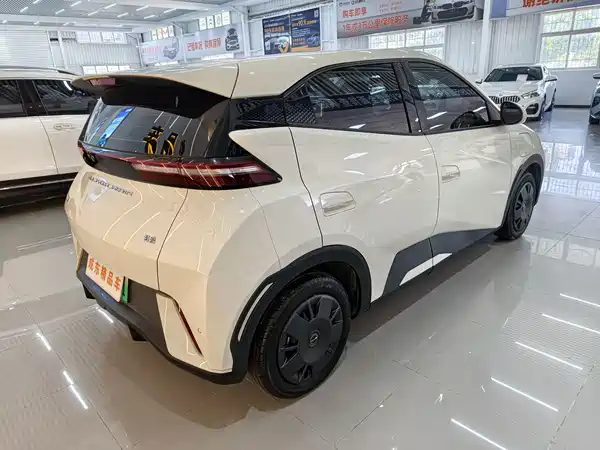 BYD Seagull 2024