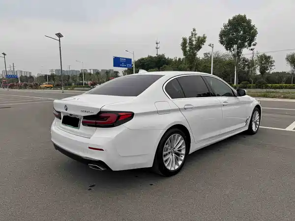BMW 5 Series New Energy 2021