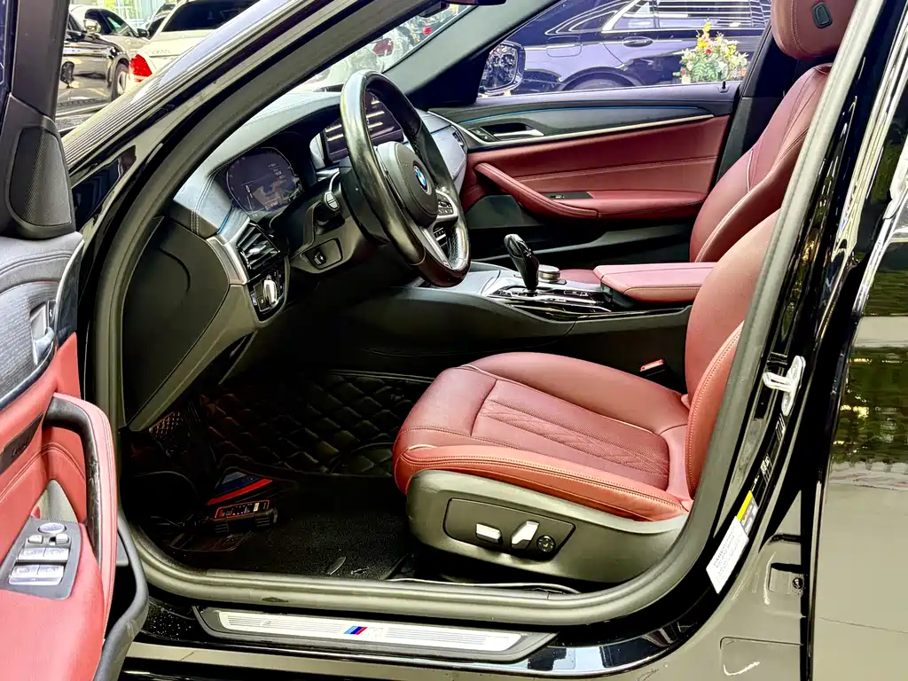 BMW 5 Series New Energy 2021