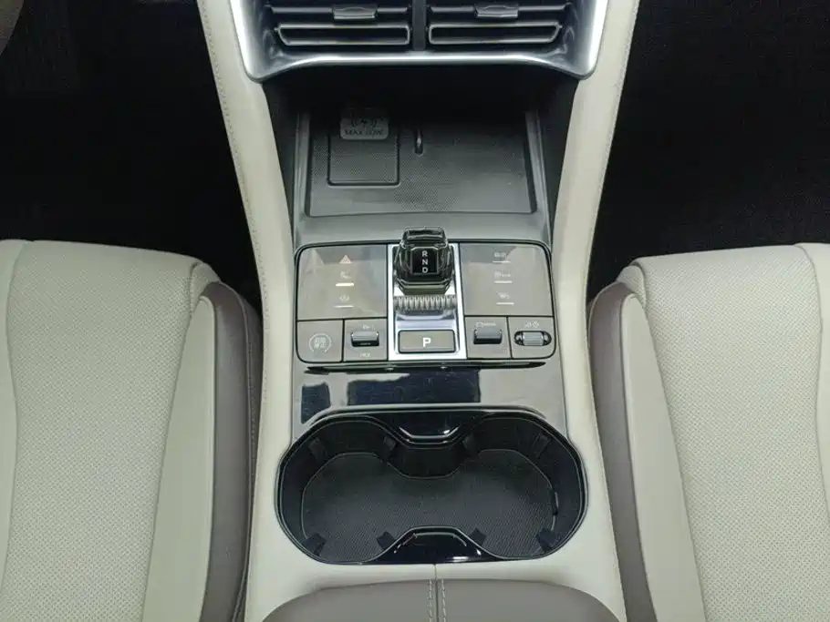 BYD Song PLUS New Energy 2025 — фото 16