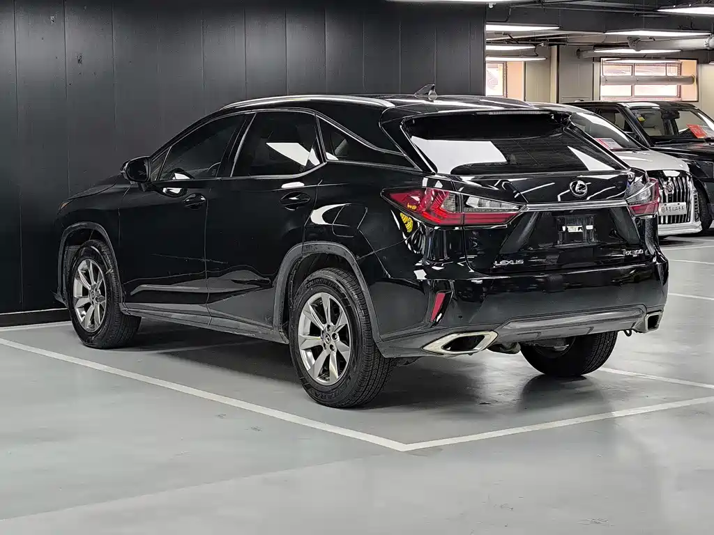 Lexus RX 2019 — фото 16