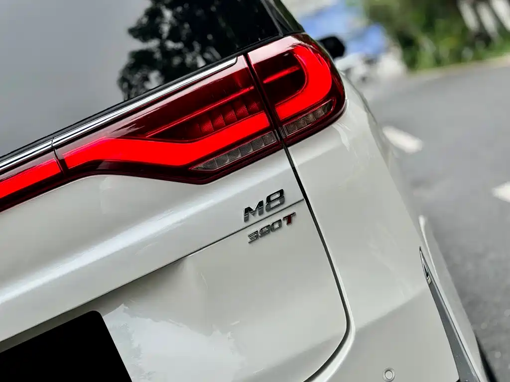 GAC Motor Trumpchi M8 2022 — фото 29