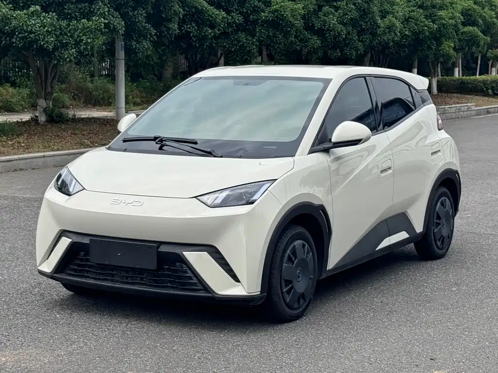 BYD Seagull 2025