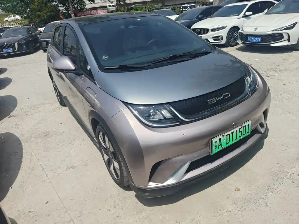 BYD Dolphin 2021
