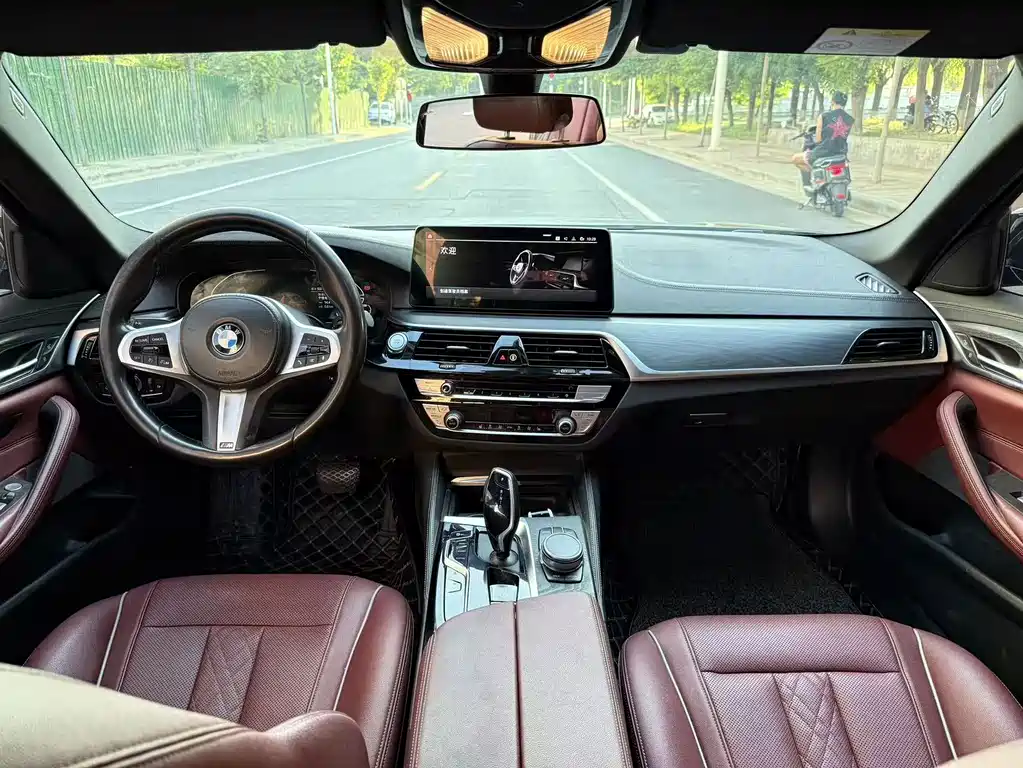 BMW 5 Series New Energy 2021