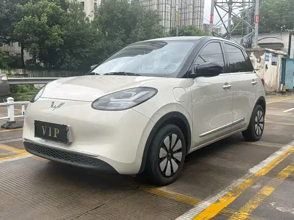 Wuling Bingo 2024