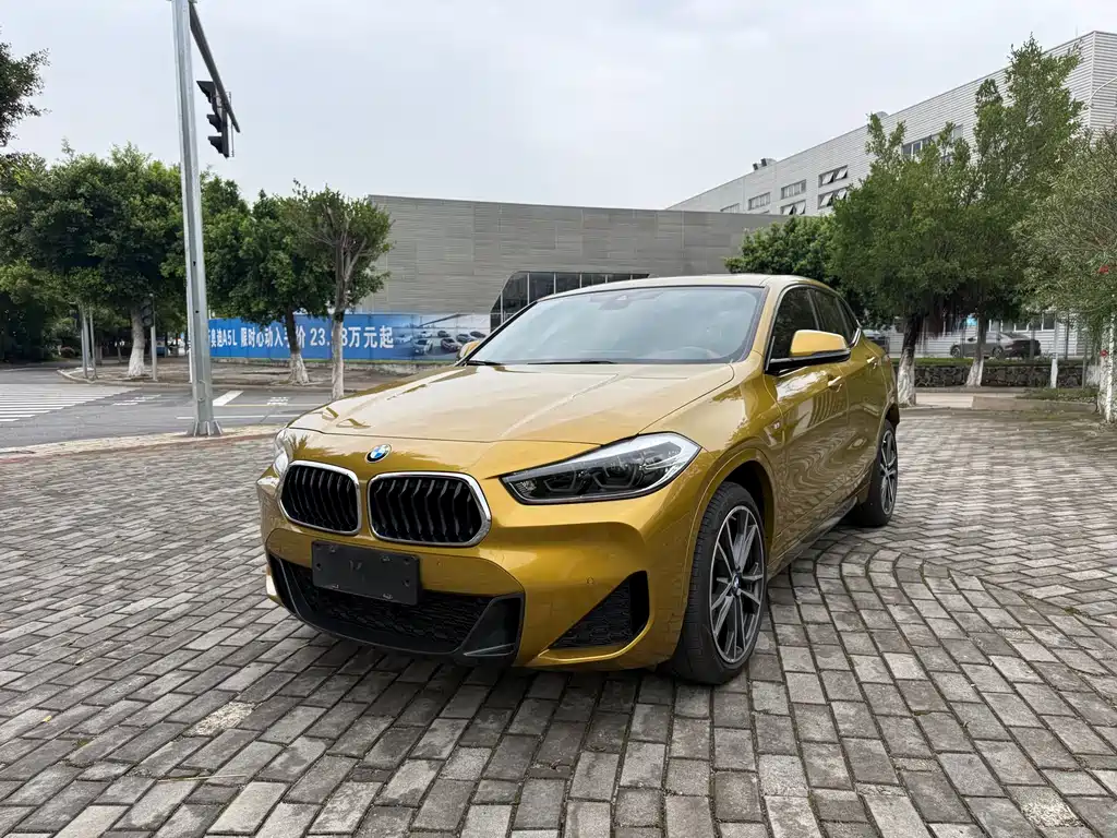 BMW X2 2019 — фото 1