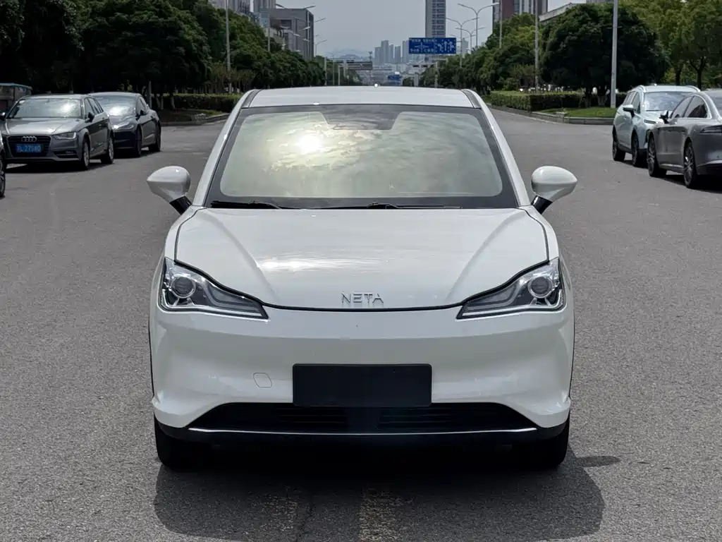 Neta V 2022
