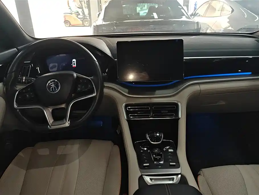 BYD PLUS New Energy 2022 — фото 12