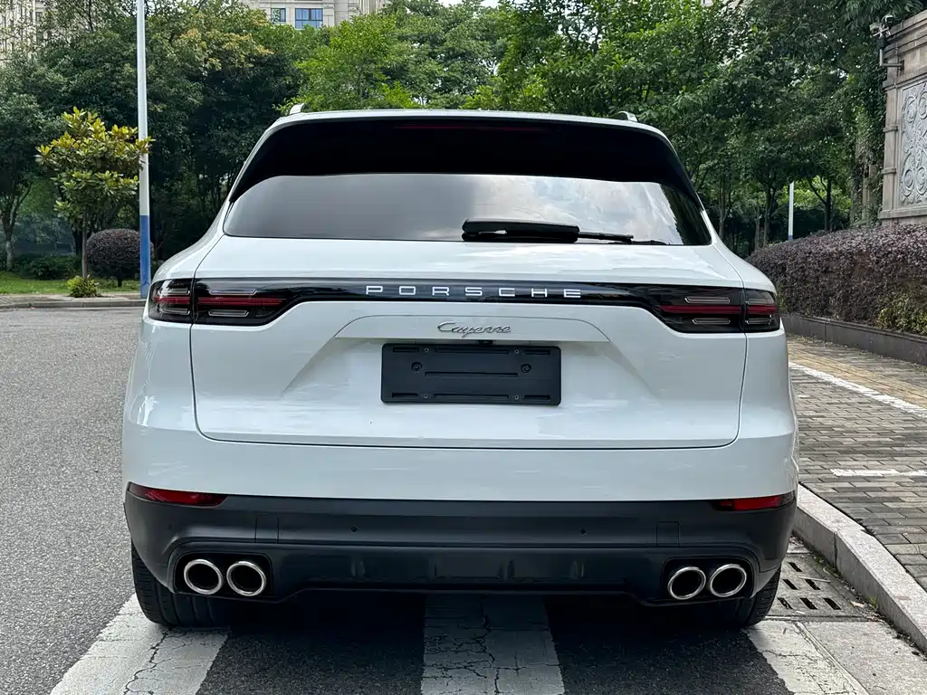 Porsche Cayenne 2020 — фото 15