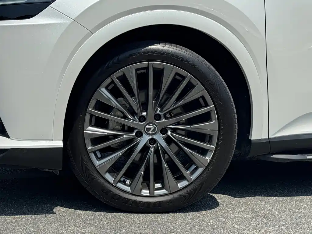 Lexus RX 2023 — фото 16