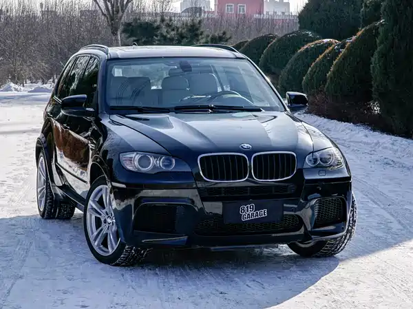 BMW X5 M 2010