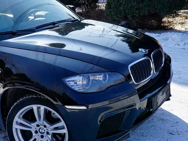 BMW X5 M 2010