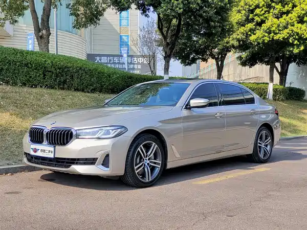 BMW 5 Series 2021