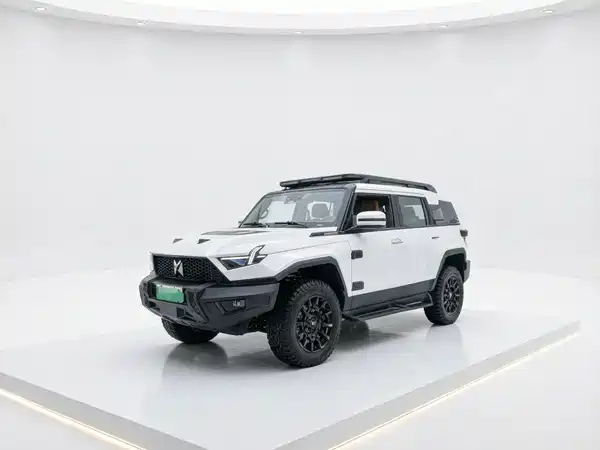 Mengshi 917 2024