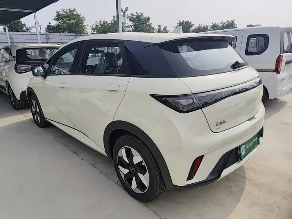 BYD Dolphin 2026