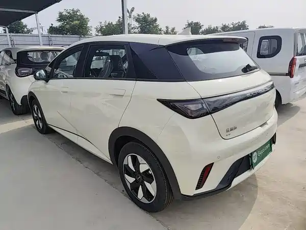 BYD Dolphin 2026