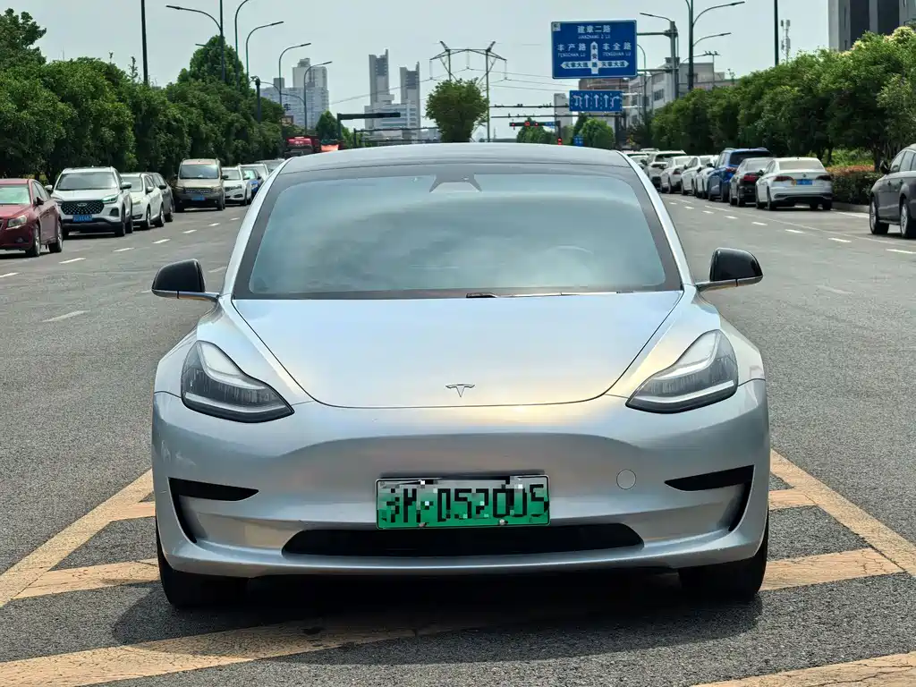 Tesla Model 3 2020 — фото 2