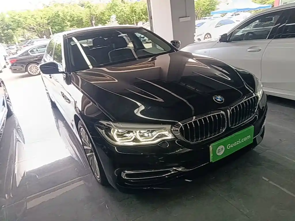 BMW 5 Series New Energy 2020