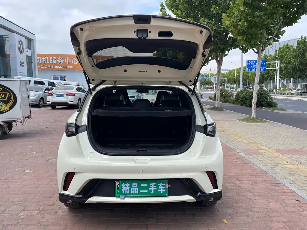 BYD Dolphin 2024 — фото 13