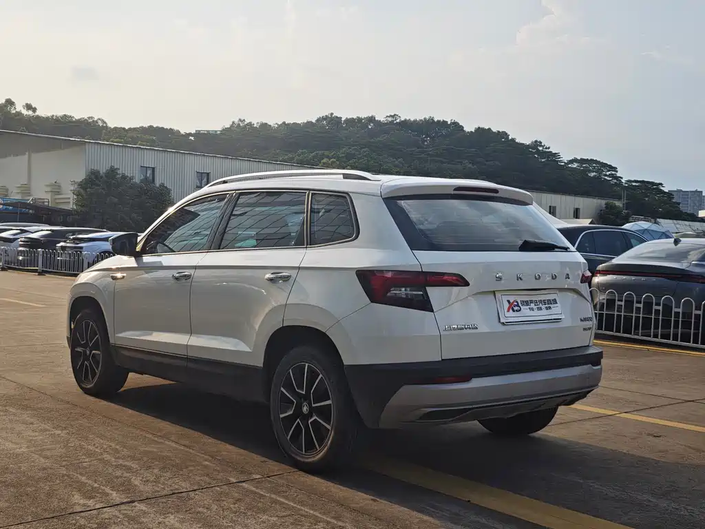 Skoda Karoq 2020 — фото 11