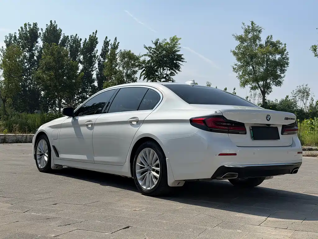 BMW 5 Series New Energy 2020