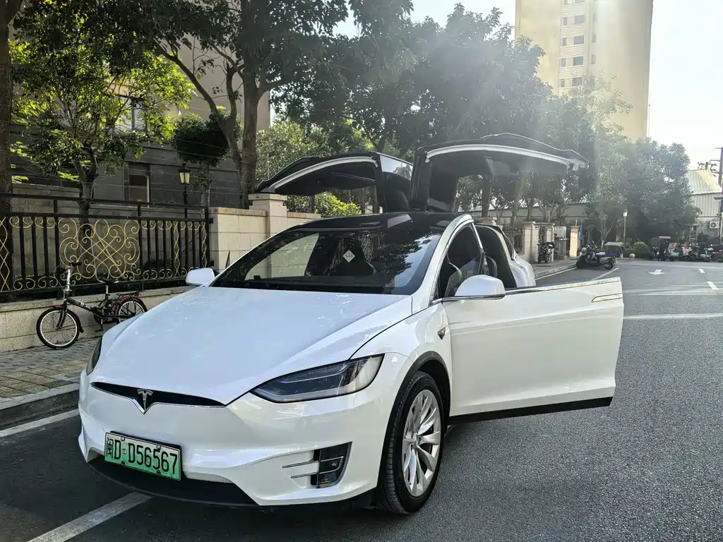 Tesla Model X 2018 — фото 5