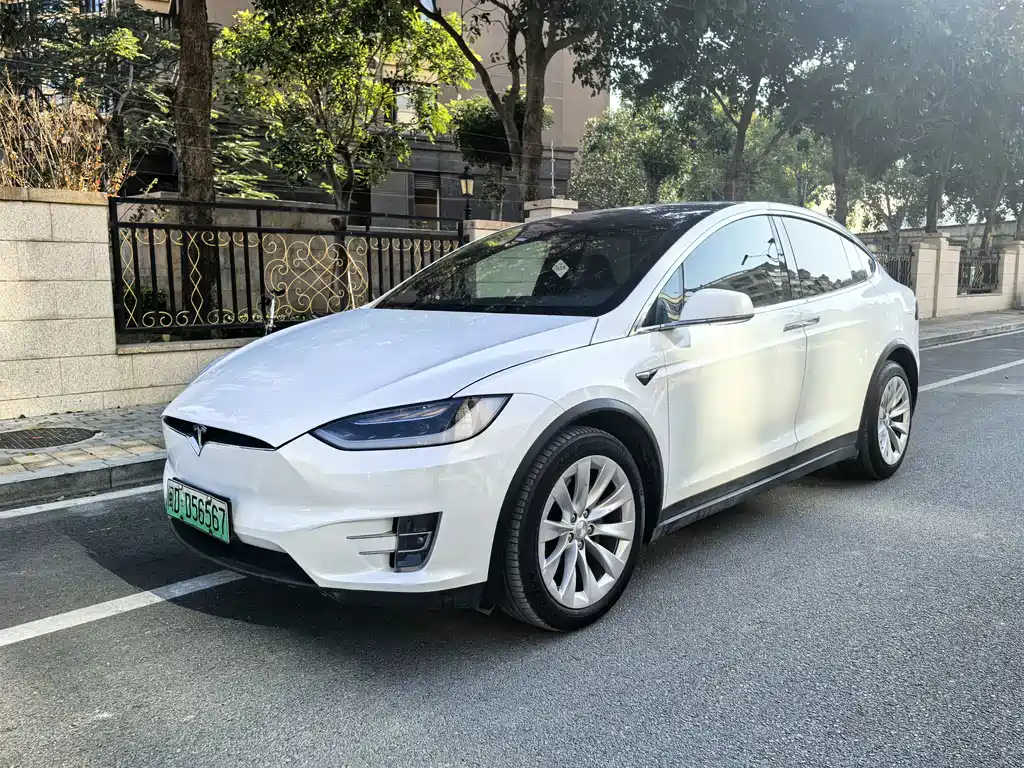 Tesla Model X 2018 — фото 1