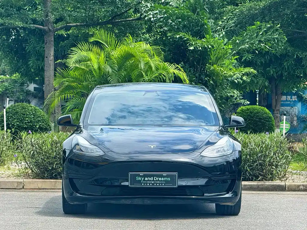 Tesla Model 3 2021 — фото 2
