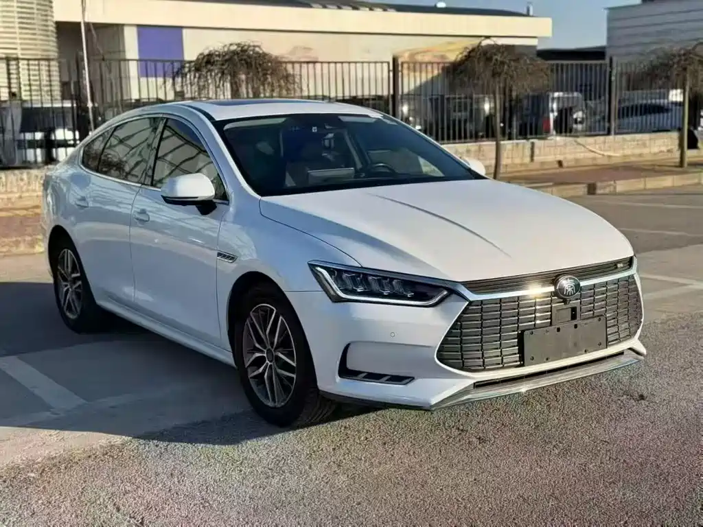 BYD Qin Pro NEV 2019 — фото 3