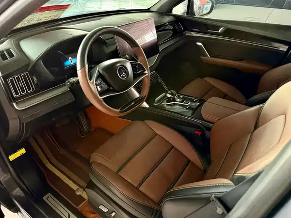 BYD Tang New Energy 2021