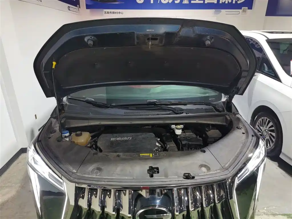 GAC Motor Trumpchi M8 2023 — фото 20