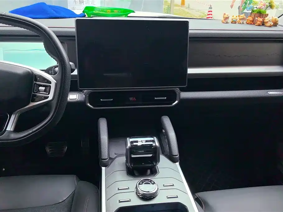 Shanhai Traveller C-DM 2024 — фото 13