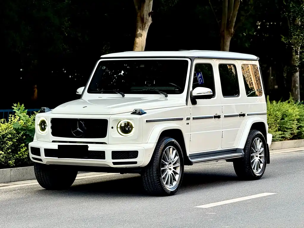 Mercedes-Benz G-Class 2021 — фото 2