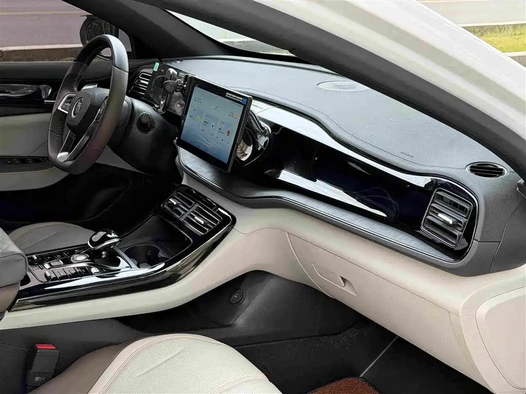 BYD Qin PLUS 2024 — фото 12