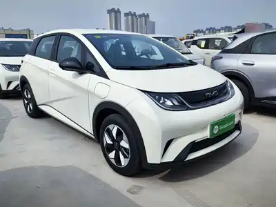 BYD Dolphin 2026