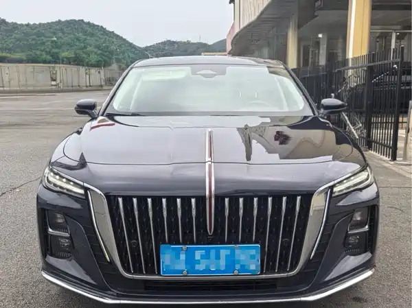 Hongqi H5 2024