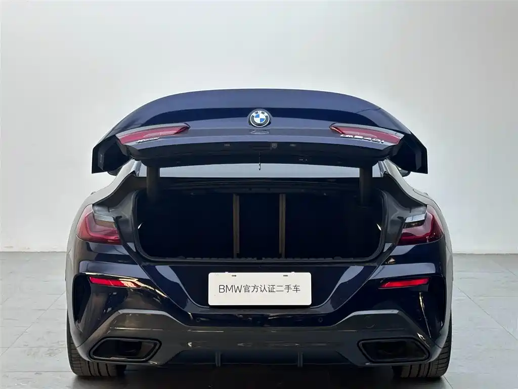 BMW 8 Series 2020