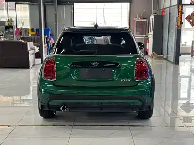 MINI MINI 2021